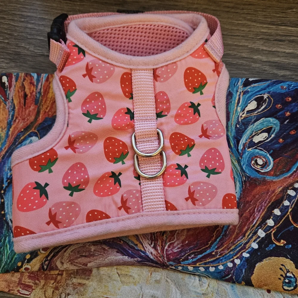 Strawberry Cat vest